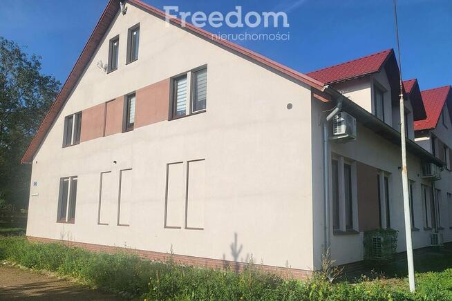 Ostatni apartament nad jeziorem w otoczeniu lasów.