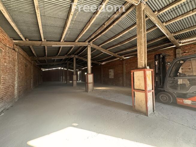 Hala 300 m² z Ogrodzonym Placem 17,86 ar