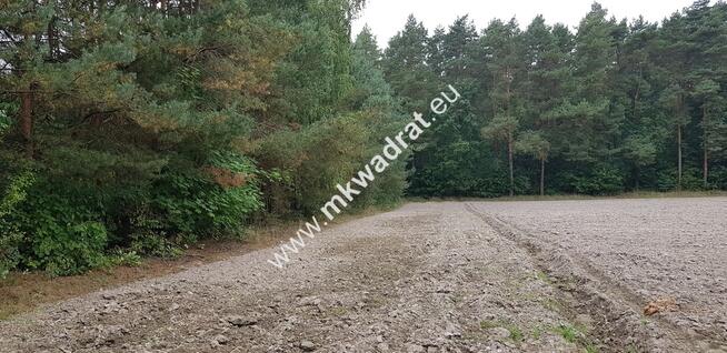 DZIAŁKA W OTULINIE LASU