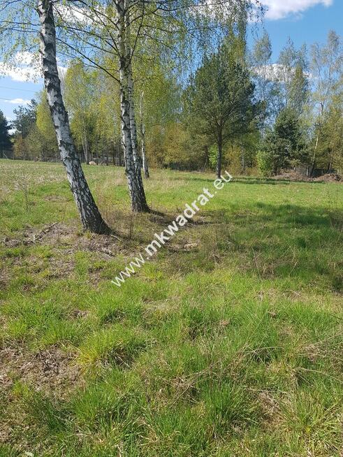 Działka 1030 m Budy Mszczonowskie