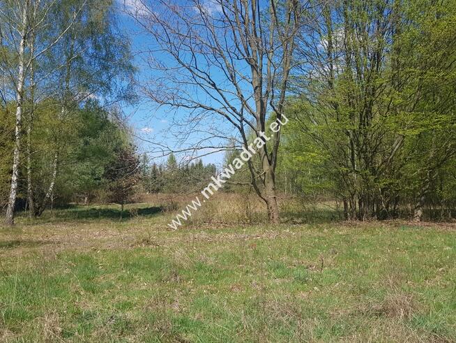 Działka 1030 m Budy Mszczonowskie