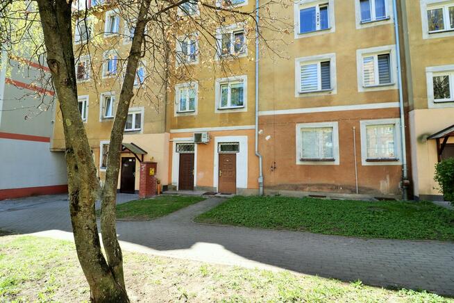 Lokal na wynajem w centrum Ełku I 32,78 m2I parter I witryny