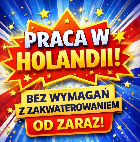 PRACA W NL - SZYBKIE WYJAZDY