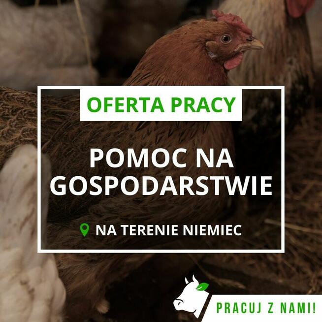 PRACA NA FARMIE – NIEMCY – świetne warunki, SUPER OFERTA