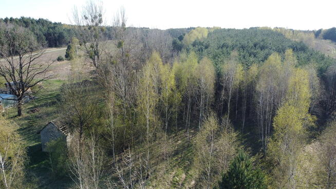 Dziełka rolna w Borowcu gm. Ciepielów pow. lipski.