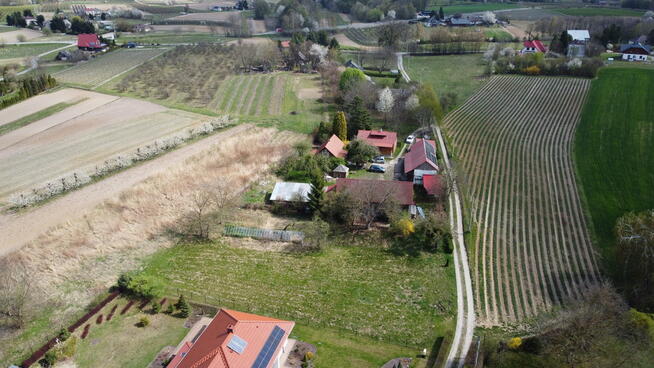 Siedlisko 3931 m2 Skowieszynek Kazimierz Dolny.