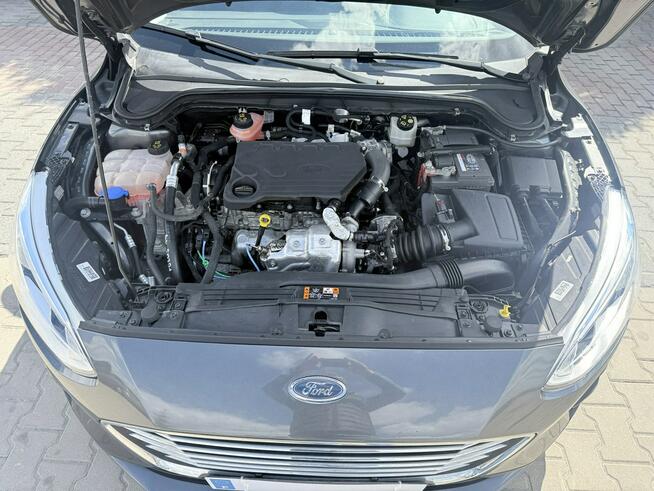 Ford Focus ecoblue