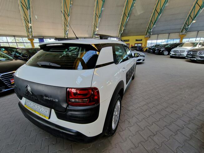 Citroen C4 Cactus Zobacz opis !! W podanej cenie Roczna Gwarancja !!