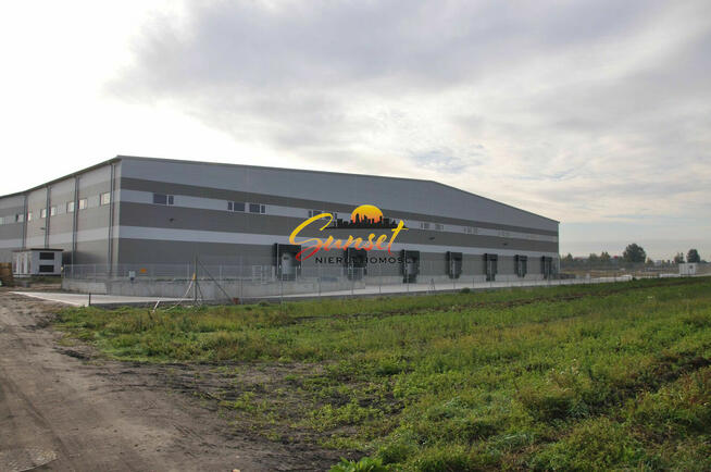 Hala 2760 m2 Pęcice, tylko 29 zł/m2