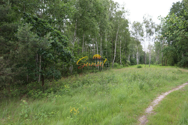 Działka Pod Zabudowę Bliźniaczą 5600 m²