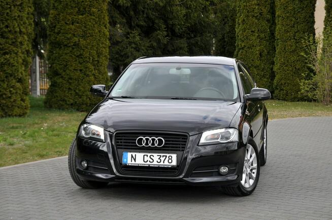 Audi A3 2.0TDI(140KM)*Lift*Bi-Xenon*Led*Klimatronik*Welur*Chrom*Alu16"ASO