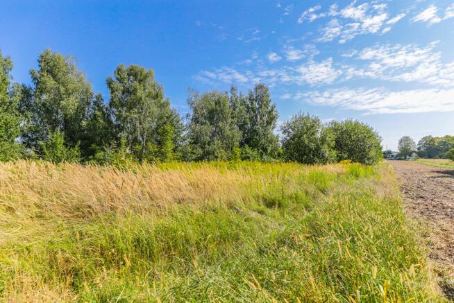 Działka budowlana Żabia Wola gm. Strzyżewice,