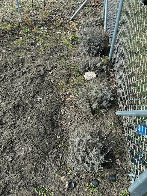 Sprzedam Działkę ROD we Wrocławiu na Kuźnikach