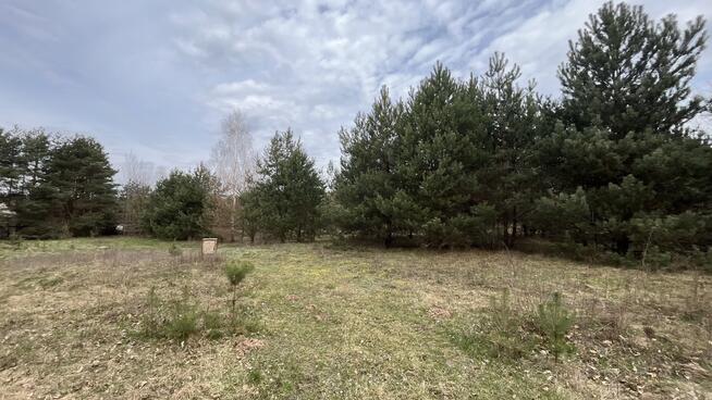 Działka pod zabudowę 991 m2 Kłoda gm. Magnuszew.