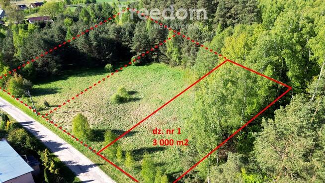 Działka 3000 m² z lasem i mediami – Wilczany