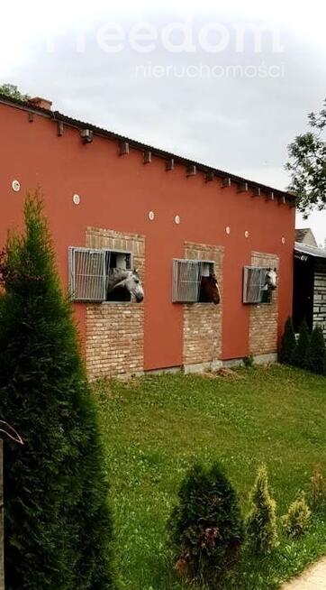 Piękna Stadnina Ośrodek treningu koni sportowych.
