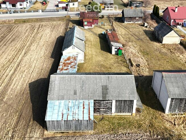 Klimatyczne siedlisko
