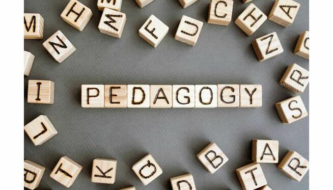 Poszukuję pracy Pedagog Spec.- Resocjalizacja; we Wrocławiu