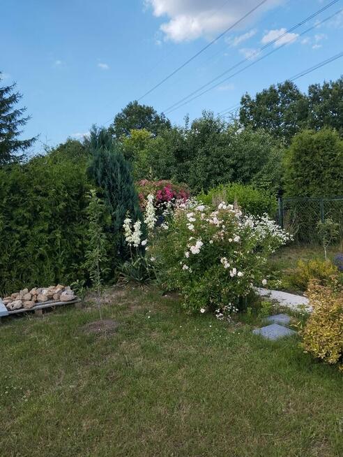 Sprzedam ładną działkę ROD. /można używać cały rok/