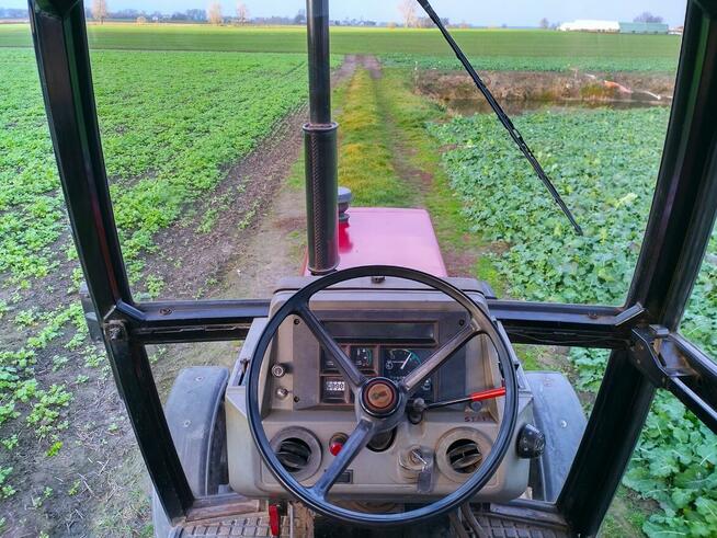Ciągnik CASE 1294 - COMFORT - 70 KM - IH