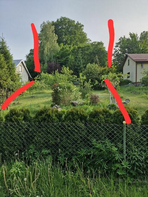 Sprzedam prawo do dzierżawy działki ROD Olszanka (pomorskie)