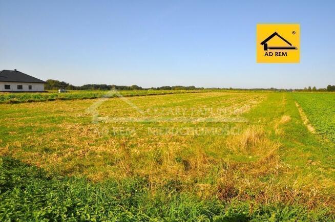 Działka budowlana Radawiec Mały gm. Konopnica, Radawiec Mały