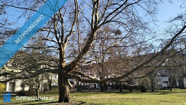 Strzyża między Wrzeszcz a Oliwa Mieszkanie 2 pok. oddzielna kuchnia mce parkingowe