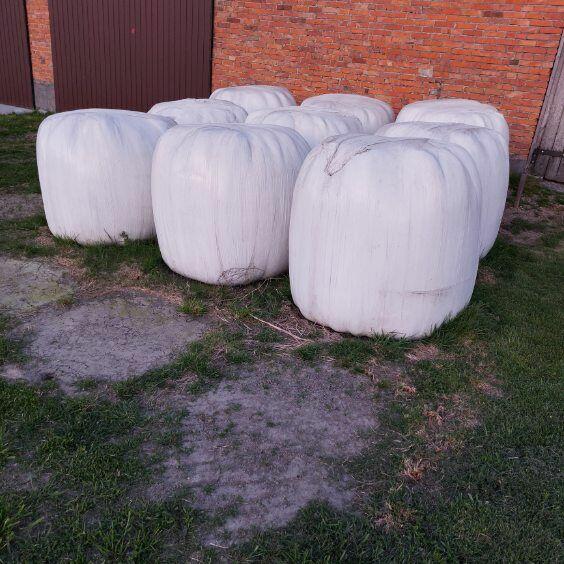 Siano i sianokiszonka