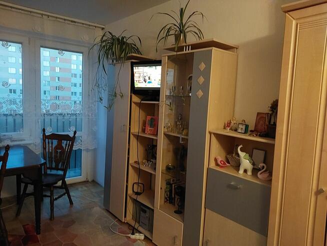 dwu pokojowe do wynajęcia w centrum