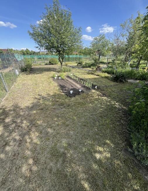 Ogródek działkowy 252 m2 + media + pompa wody ul. Wojanowska