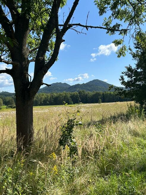 Działka siedliskowa Łomnica gm. Mysłakowice, Karpnicka