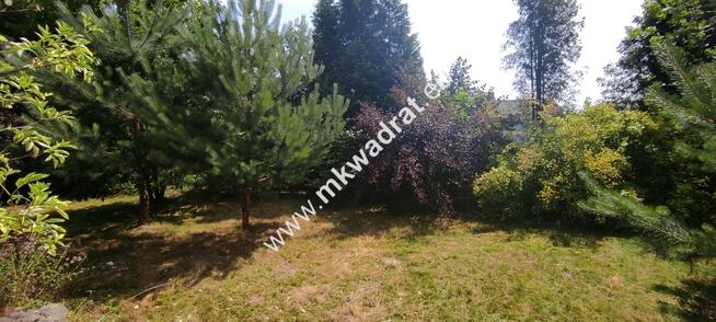SIEDLISKO dom + 0.3 ha ziemi