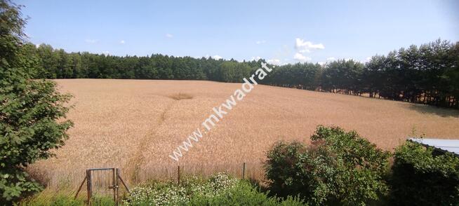 SIEDLISKO dom + 0.3 ha ziemi