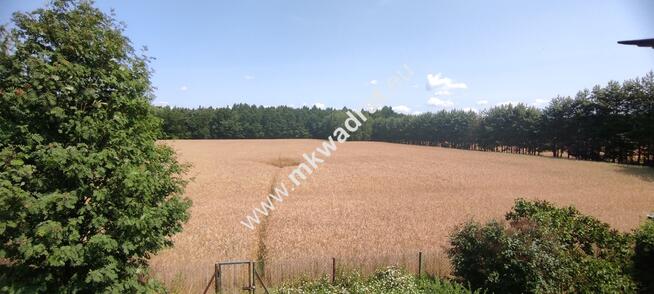 SIEDLISKO dom + 0.3 ha ziemi