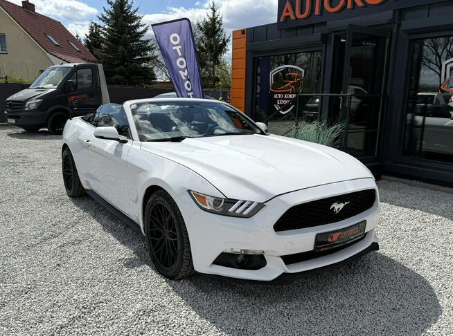 Ford Mustang Skórzana tapicerka, Podgrzewane wentylowane fotele, LED, Kamera cofani