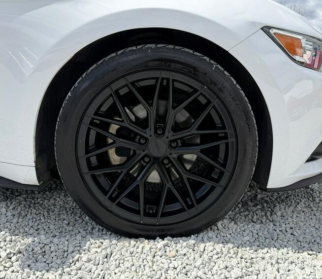 Ford Mustang Skórzana tapicerka, Podgrzewane wentylowane fotele, LED, Kamera cofani