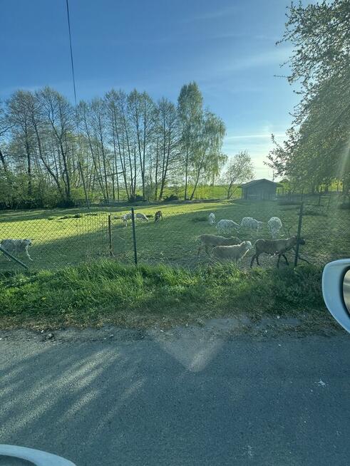 Działka bud na sprzedaż
