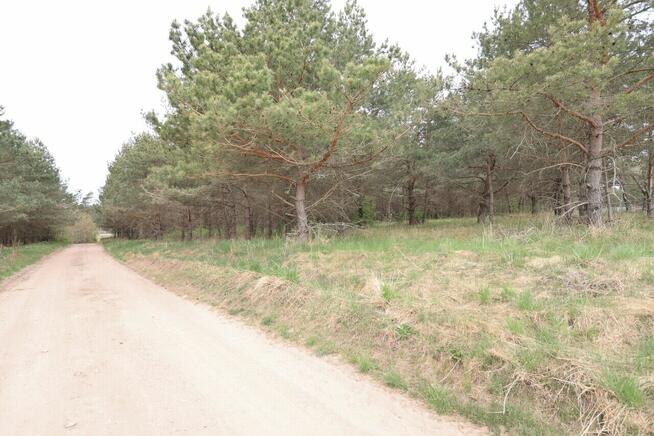 Duża działka na sprzedaż w pobliżu S61