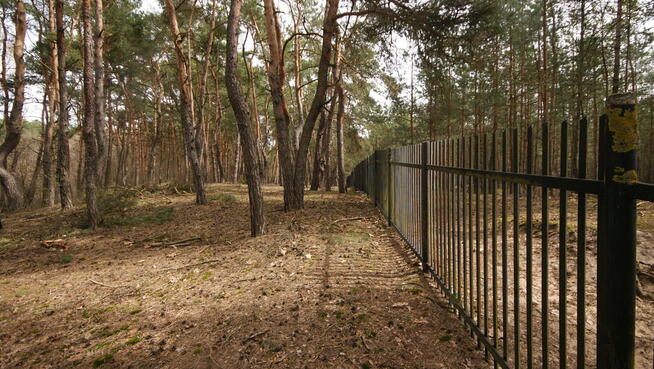 Dom, agroturystyka, stawy, 6.81ha, Lublin