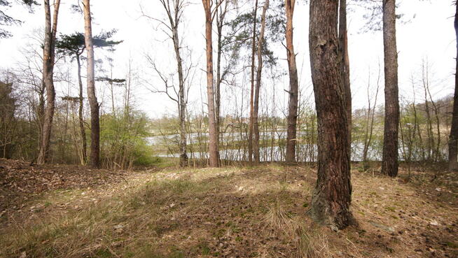 Dom, agroturystyka, stawy, 6.81ha, Lublin