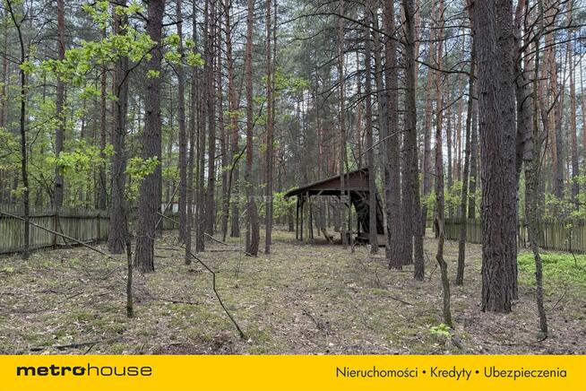 Działka leśna w Nadkole – w pobliżu rzeka Liwiec