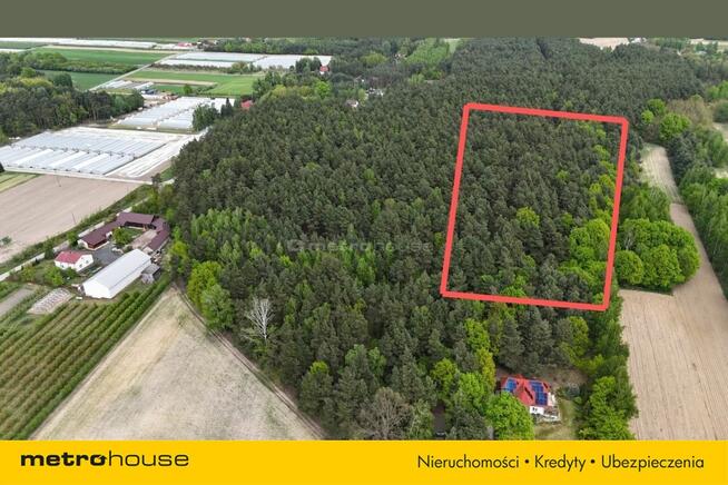 Działka leśna 22 484 m² – godzina od Warszawy!