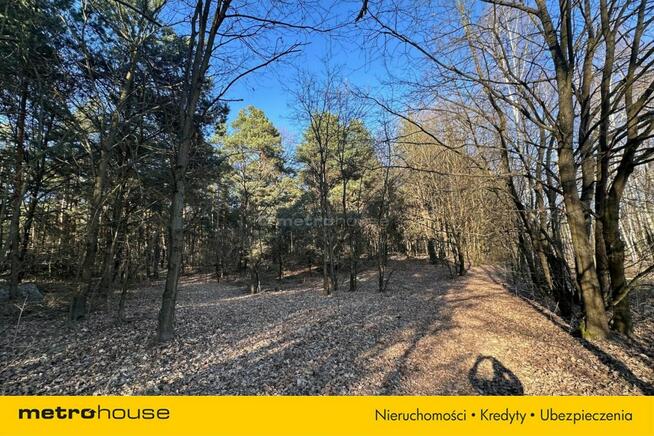 Działka leśna 22 484 m² – godzina od Warszawy!