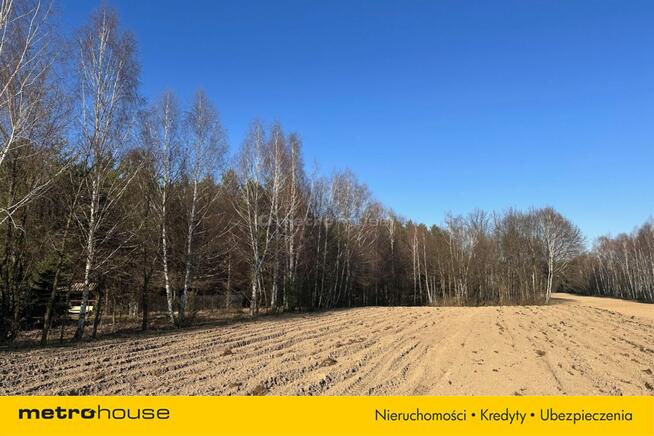 Działka leśna 22 484 m² – godzina od Warszawy!