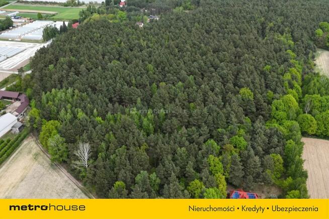 Działka leśna 22 484 m² – godzina od Warszawy!