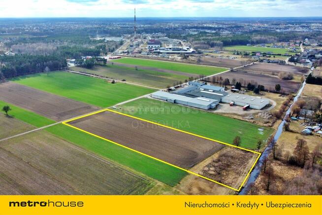 Nieruchomość inwestycyjna w Goworkach