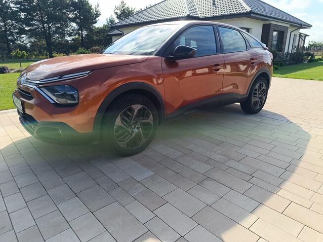 Bardzo ładny Super kolor