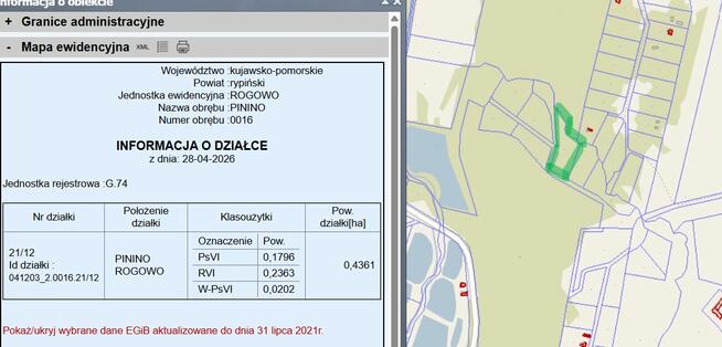 Działka 4361 m² z wydaną WZ | 250 m² zabudowy | staw| Pinino