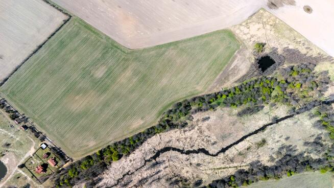 Działka 3000 m² z MPZP | Siedlisko | Możliwość budowy domu