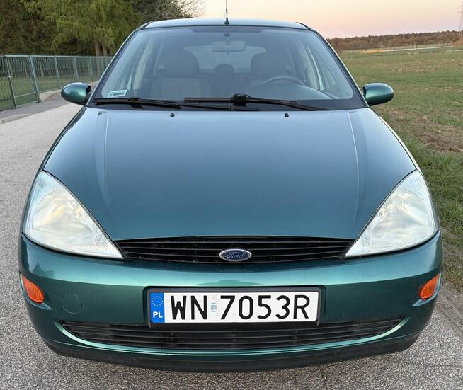 FORD Focus 1.6 Benzyna Salon PL - tylko 175 tyś km FILM